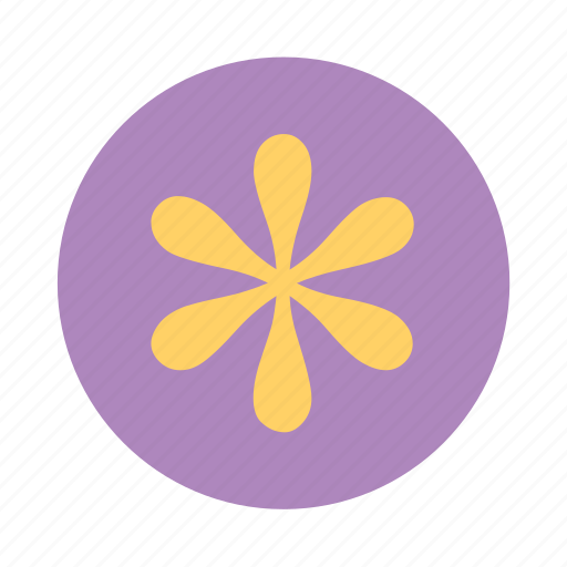 Daisy, floral, florist, flower icon - Download on Iconfinder