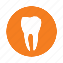 dental clinic, dentist, dentistry, teeth, tooth