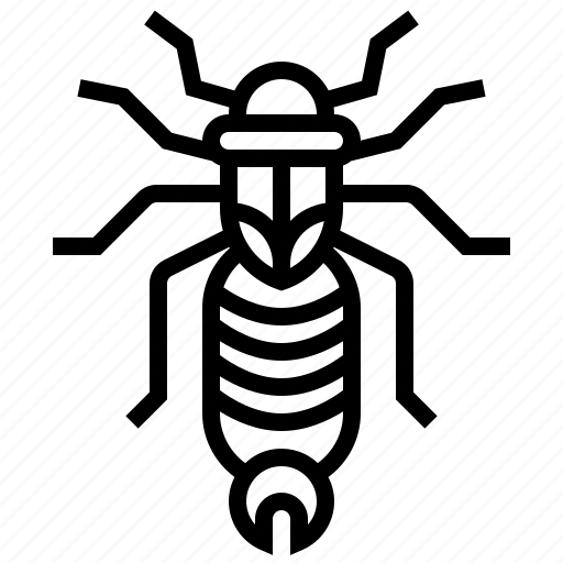 Control, earwig, entomology, insect, pest icon - Download on Iconfinder