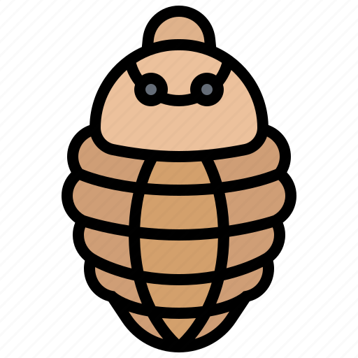 Carmine, cochineal, dye, fauna, insect icon - Download on Iconfinder