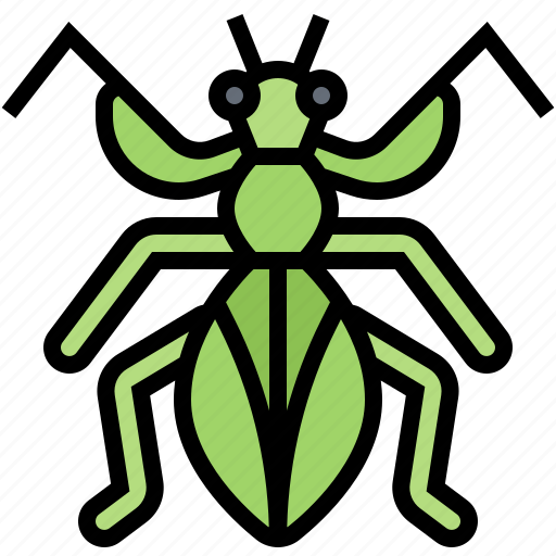 Entomology, insect, mantis, praying, predator icon - Download on Iconfinder