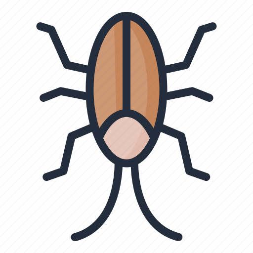Cockroach, insect, animal, nature icon - Download on Iconfinder