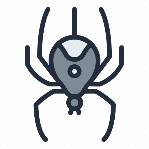 Spider, insect, animal, nature icon - Download on Iconfinder