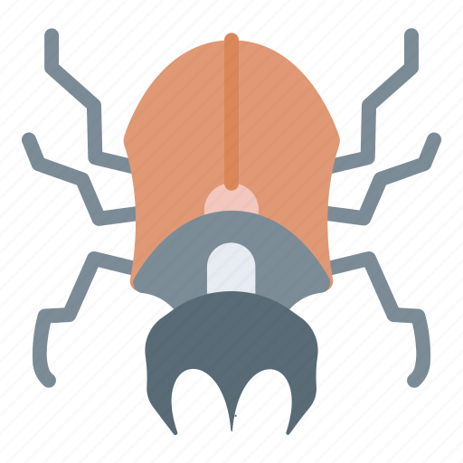 Beetle, insect, animal, nature icon - Download on Iconfinder