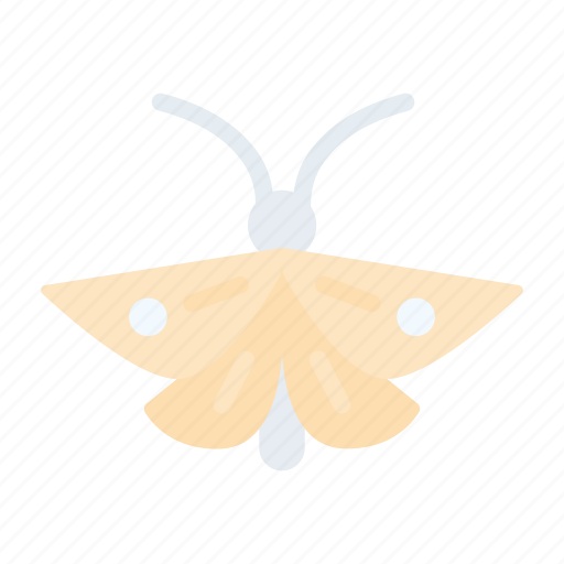 Moth, insect, animal, nature icon - Download on Iconfinder