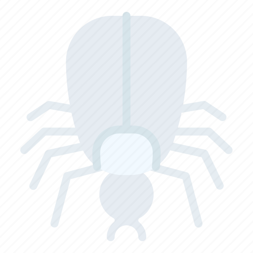 Tick, insect, animal, nature icon - Download on Iconfinder