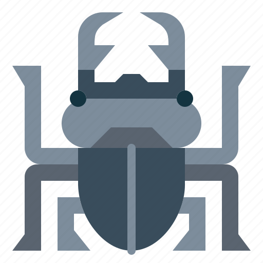 Animal, beetle, bug, insect icon - Download on Iconfinder