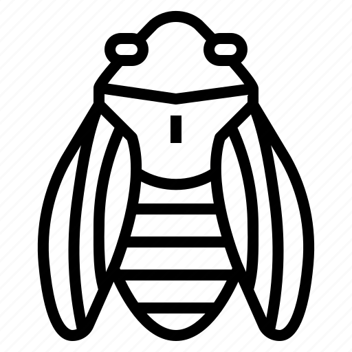 Animal, bug, cicada, insect icon - Download on Iconfinder