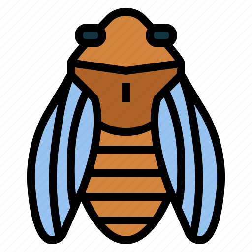 Animal, bug, cicada, insect icon - Download on Iconfinder