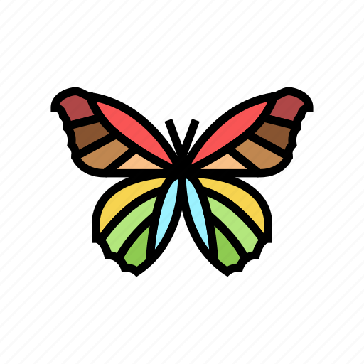 Butterfly, insect, spider, bug, wildlife, dragonfly icon - Download on Iconfinder