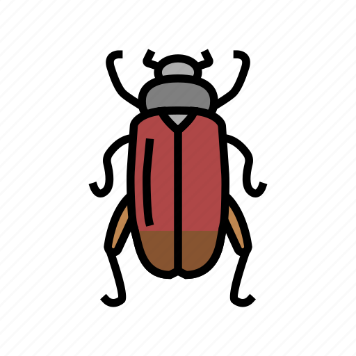 Chafer, insect, spider, bug, wildlife, dragonfly icon - Download on Iconfinder