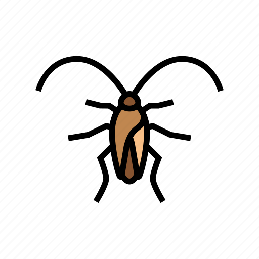 Cockroach, insect, spider, bug, wildlife, dragonfly icon - Download on Iconfinder