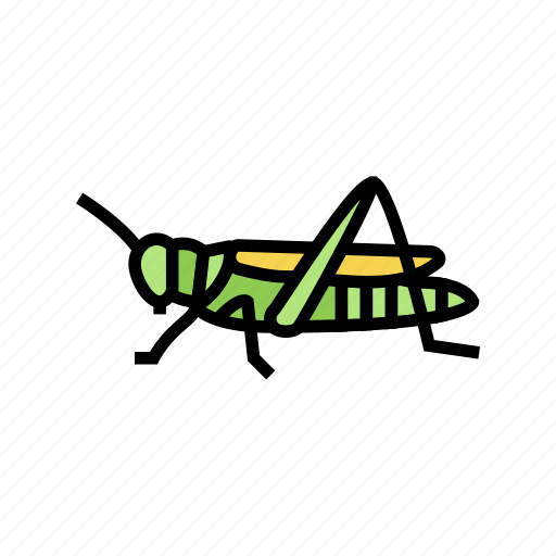 Grasshopper, insect, spider, bug, wildlife, dragonfly icon - Download on Iconfinder