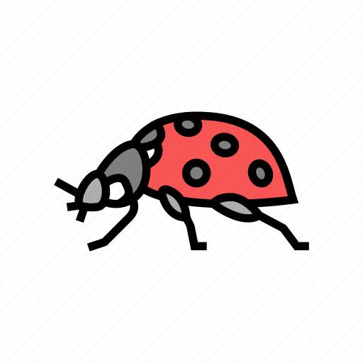 Ladybug, insect, spider, bug, wildlife, dragonfly icon - Download on Iconfinder