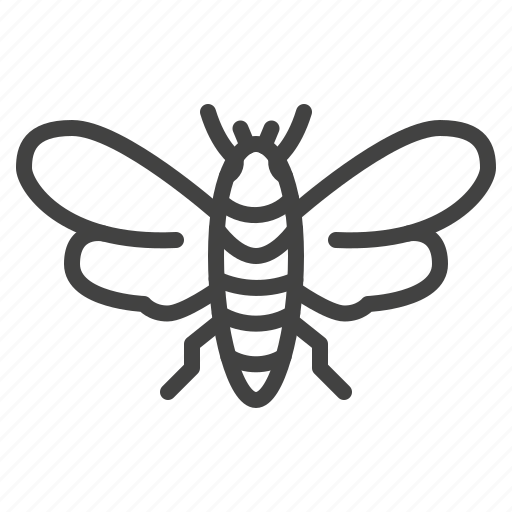 Bug, cicada, insect icon - Download on Iconfinder