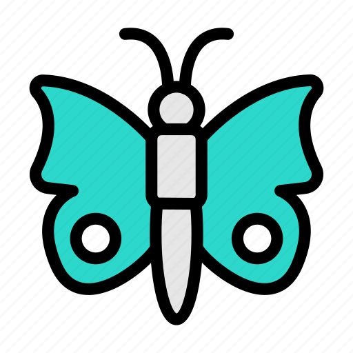 Butterfly, moth, insect, fly, beautiful icon - Download on Iconfinder