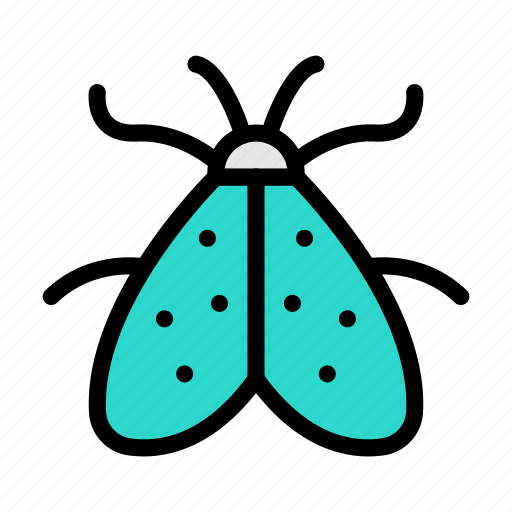 Butterfly, moth, insect, fly, beautiful icon - Download on Iconfinder