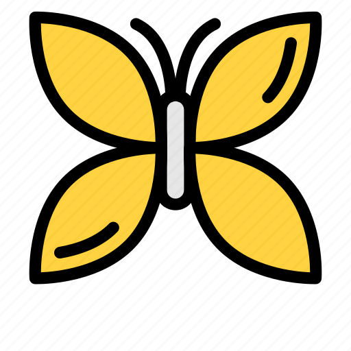 Butterfly, moth, nature, fly, beautiful icon - Download on Iconfinder