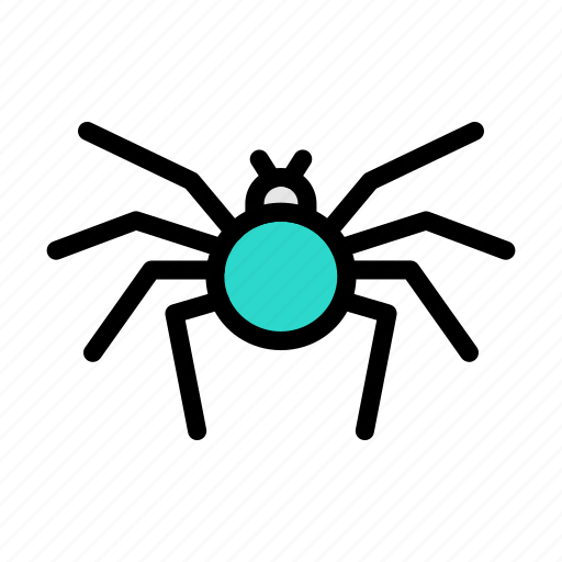 Insect, bug, nature, spider, cobweb icon - Download on Iconfinder