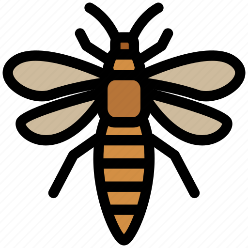 Insect, thrips, pest, fly, bug icon - Download on Iconfinder