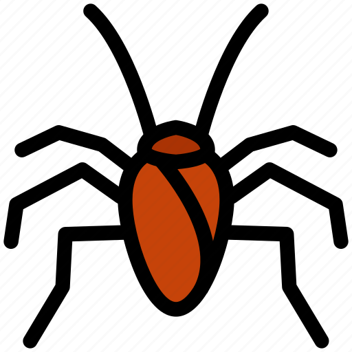 Insect, cockroach, bug, pest, household icon - Download on Iconfinder