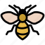 insect, bee, bumble, hive, honey, buzz, fly 