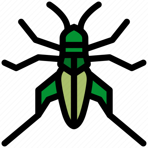 Insect, bug, cricket, locust, grasshopper icon - Download on Iconfinder