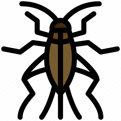 Insect, bug, cricket, orthoptera, gryllidae icon - Download on Iconfinder