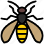 insect, wasp, hornet, bug, yellow jacket, pest 