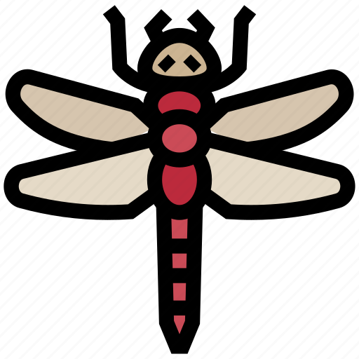 Insect, dragonfly, bug, fly, damselfly icon - Download on Iconfinder