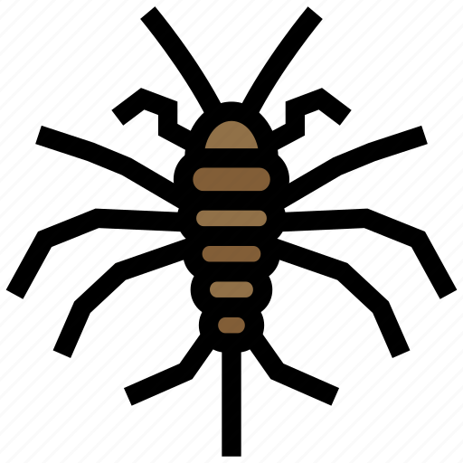 Insect, thysanura, apterygota, zygentoma, pest, silverfish icon - Download on Iconfinder