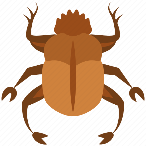 Insect, scarab, beetle, bug, animal icon - Download on Iconfinder