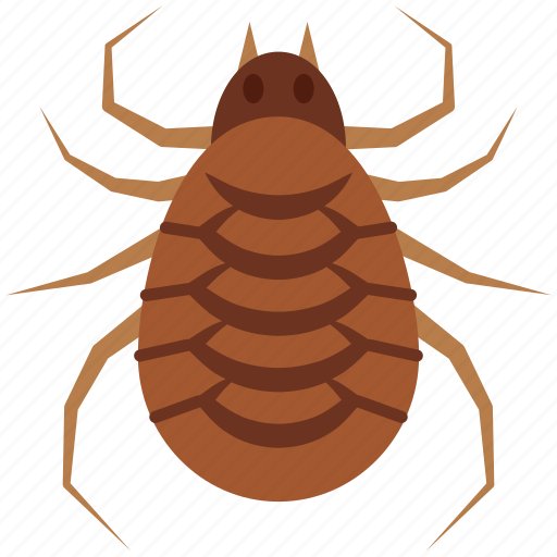 Insect, cat flea, bug, flea icon - Download on Iconfinder