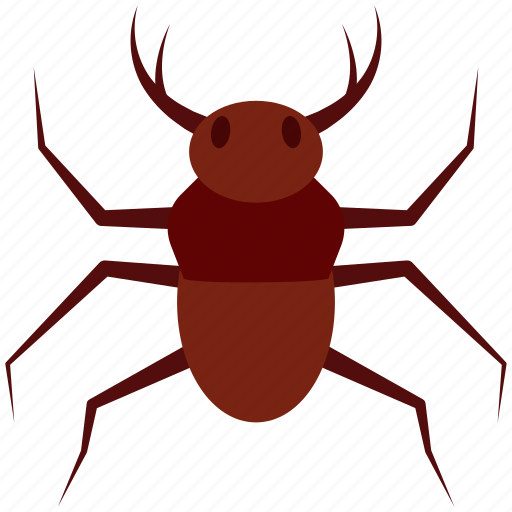 Insect, beetle, bug, pest icon - Download on Iconfinder
