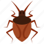 insect, tick, parasite, pest, beetle 