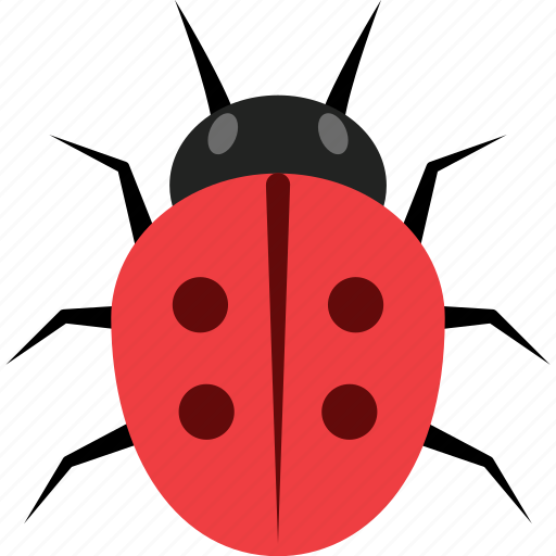 Insect, ladybug, bug, animal icon - Download on Iconfinder