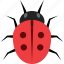 insect, ladybug, bug, animal 