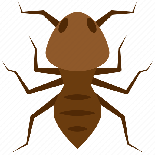 Insect, ant, bug, pest, termite icon - Download on Iconfinder