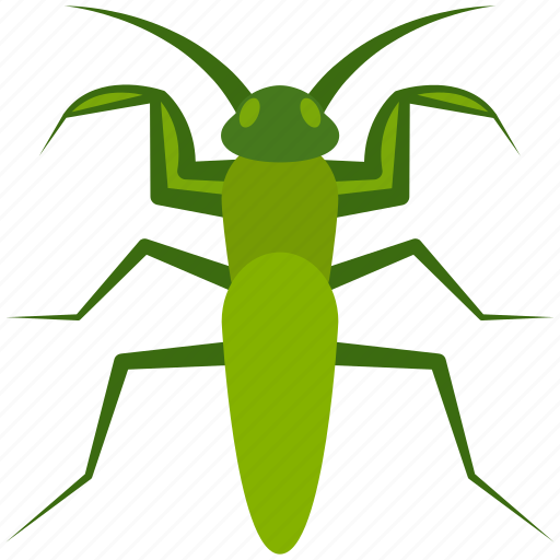 Insect, mantis, praying, animal, grasshopper, bug icon - Download on Iconfinder