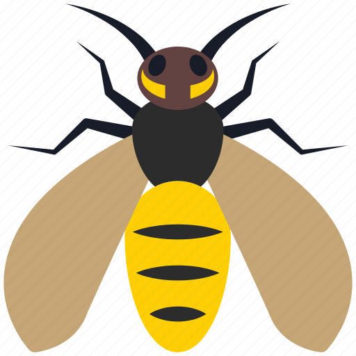 Insect, wasp, hornet, bug, yellow jacket, pest icon - Download on Iconfinder