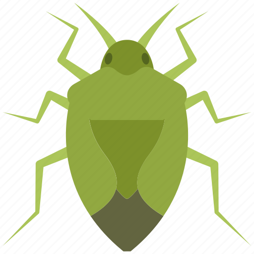 Insect, stinkbug, fly, stink, bug icon - Download on Iconfinder