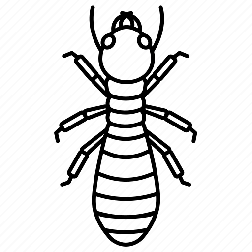 Nymph, termite, pest, insect, animal, nature icon - Download on Iconfinder
