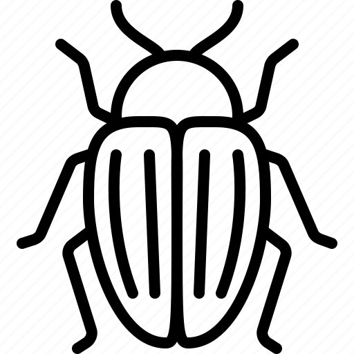 Colorado, potato, beetle, insect, bug icon - Download on Iconfinder