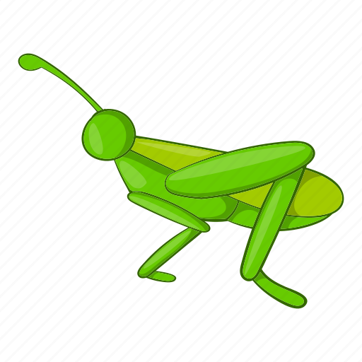 Animal, bug, cartoon, grasshopper, insect, locust, nature icon - Download  on Iconfinder