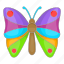 butterfly, cartoon, colorful, decoration, objectspring, summer 