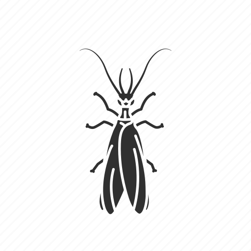 Animal, earwig, herbivore, insect, nocturnal, pest icon - Download on Iconfinder