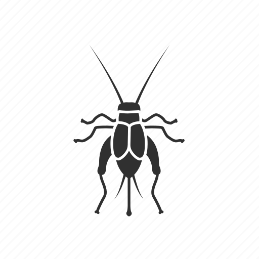 Animal, cricket, field cricket, grashopper, insect, stick-bug icon - Download on Iconfinder