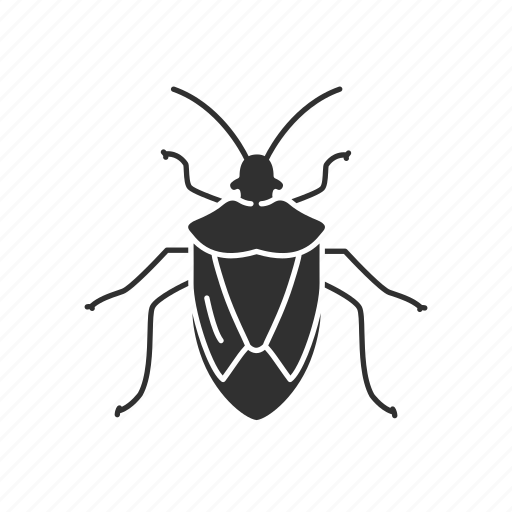 Animal, beetle, bug, insect, pest, shield bug, stink bug icon - Download on Iconfinder