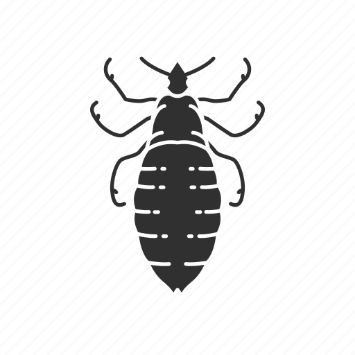 Animal, blood-feeing insects, body lice, head lice, insects, lice, parasite icon - Download on Iconfinder