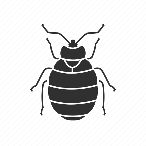 Animal, bed bug, bug, insect, insects, invertebrate, stone centipede icon - Download on Iconfinder